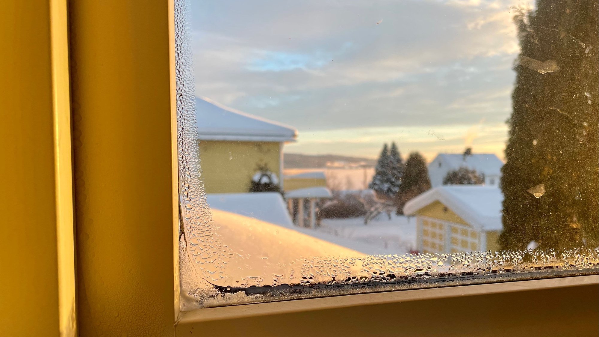 dugg-på-innsiden-av-vinduet